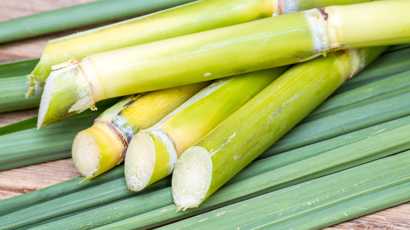Squalane Oil (Sugarcane-Derived)