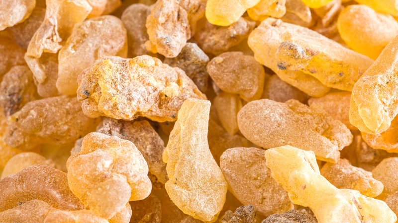 Frankincense Serrata Essential Oil