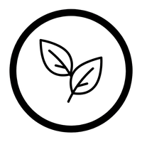 Pure, Organic Ingredients