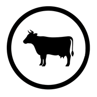 100% Grass-Fed & Finished Beef Tallow